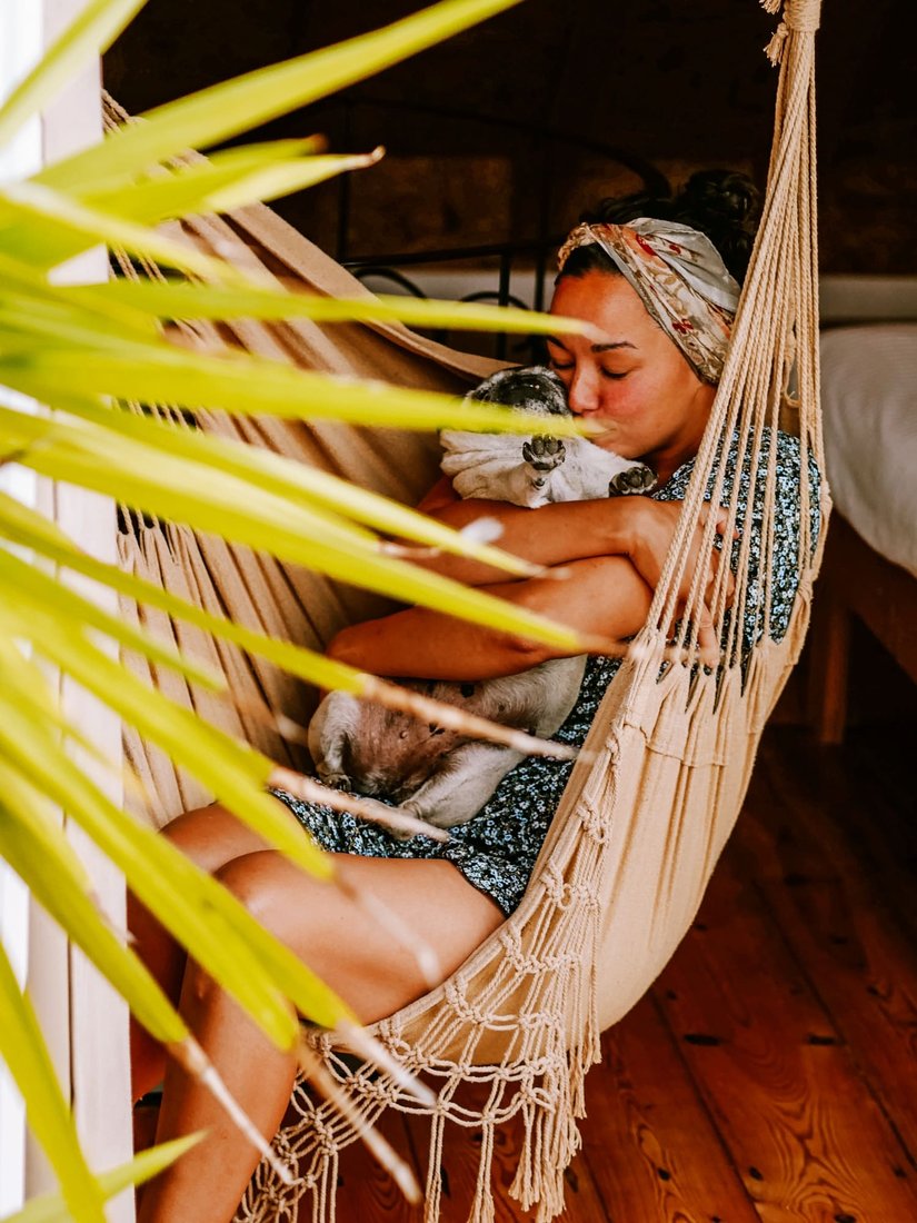 PetFriendly